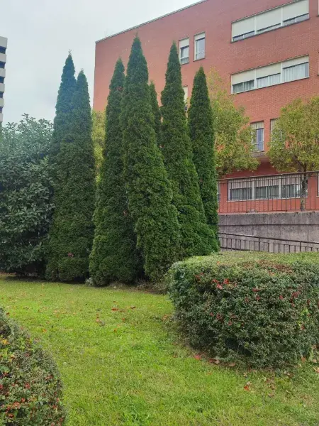 Residencia Universitaria Bilbao